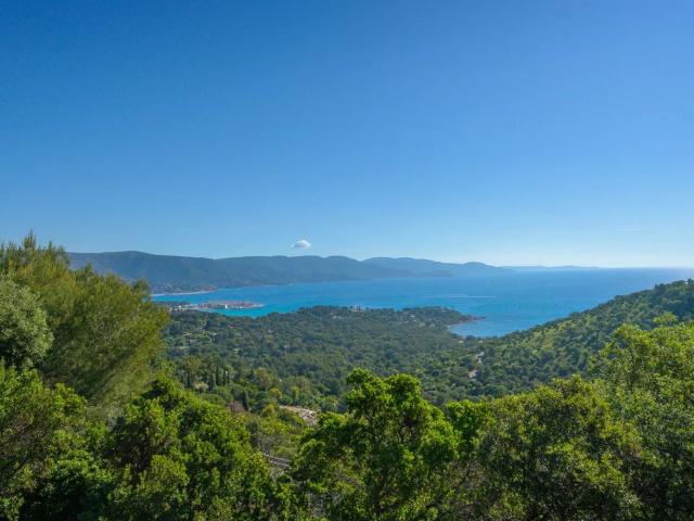 Villa de luxe de 6 pièces en vente Bormes les Mimosas, France