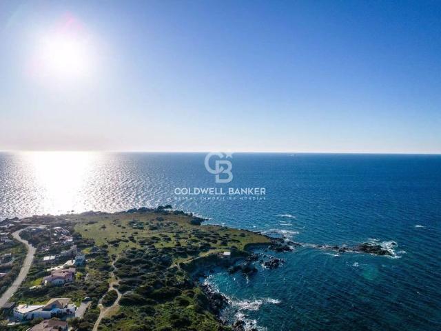 Villa de luxe de 6 pièces en vente Corbara, Corse