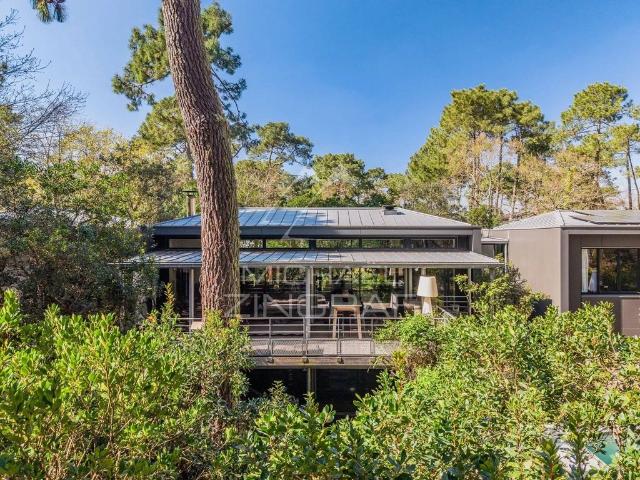 Villa de luxe de 6 pièces en vente Pyla sur Mer, France