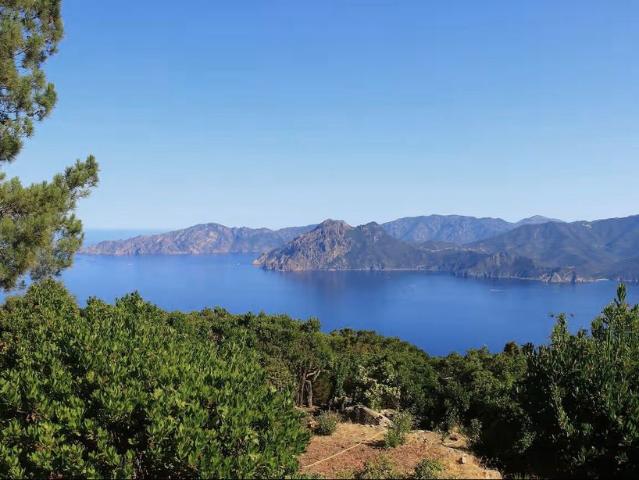 Villa de luxe de 6 pièces en vente Piana, Corse