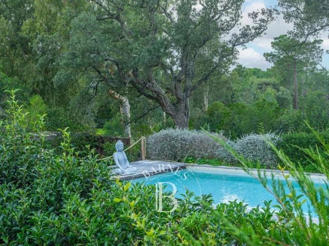Villa de luxe de 6 pièces en vente Porto Vecchio, Corse