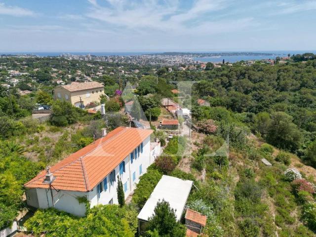 Villa de luxe de 6 pièces en vente Vallauris, Provence Alpes Côte d'Azur