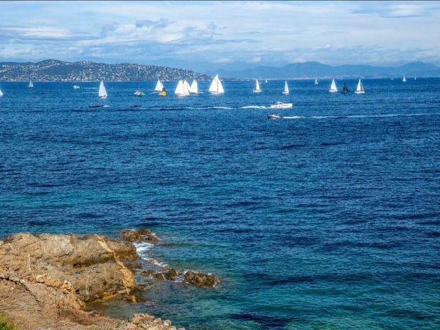 Villa de luxe de 7 pièces en rent Saint Tropez, Provence Alpes Côte d'Azur