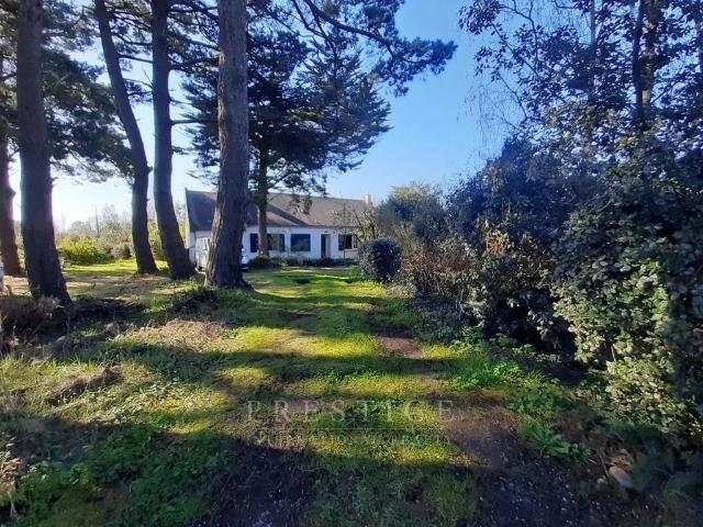 Villa de luxe de 7 pièces en vente Guérande, France