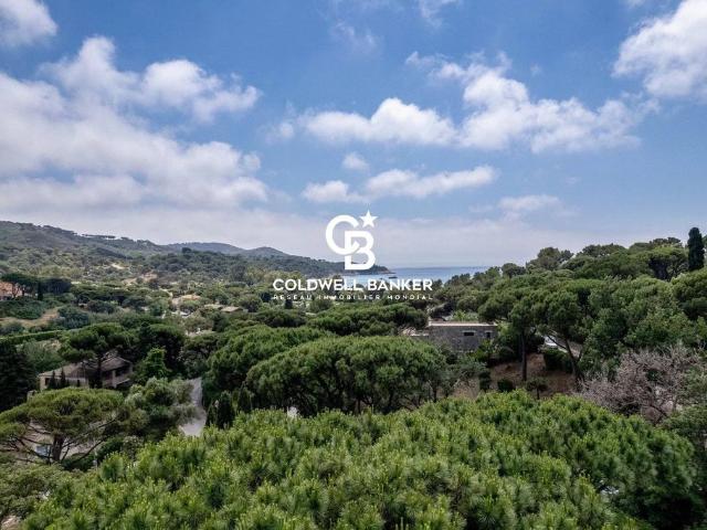 Villa de 7 pièces de luxe en vente La Croix Valmer, Provence Alpes Côte d'Azur