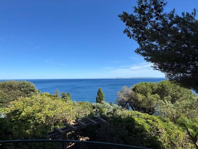 Villa de luxe de 7 pièces en vente Le Lavandou, France