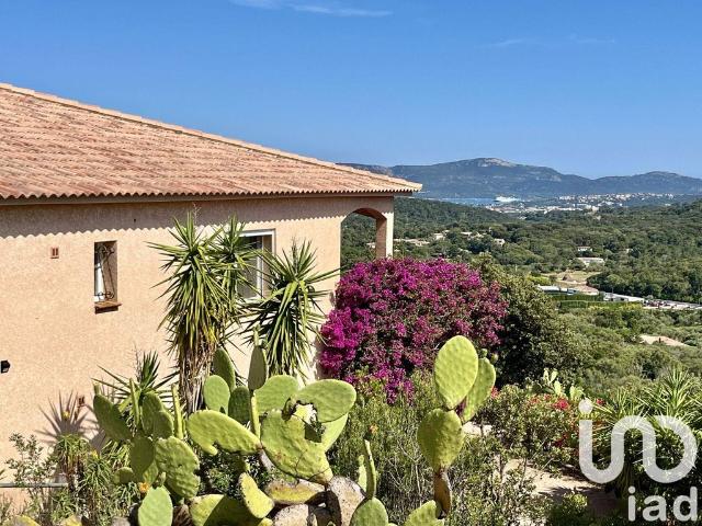 Villa de luxe de 7 pièces en vente Porto Vecchio, France