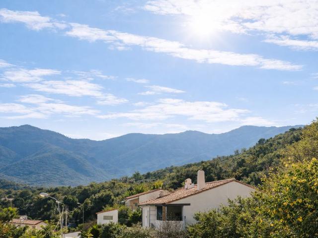 Villa de luxe de 7 pièces en vente Villelongue dels Monts, Occitanie
