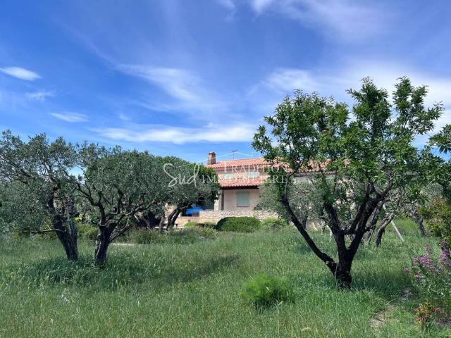 Villa de luxe de 8 pièces en vente Paradou, Provence Alpes Côte d'Azur