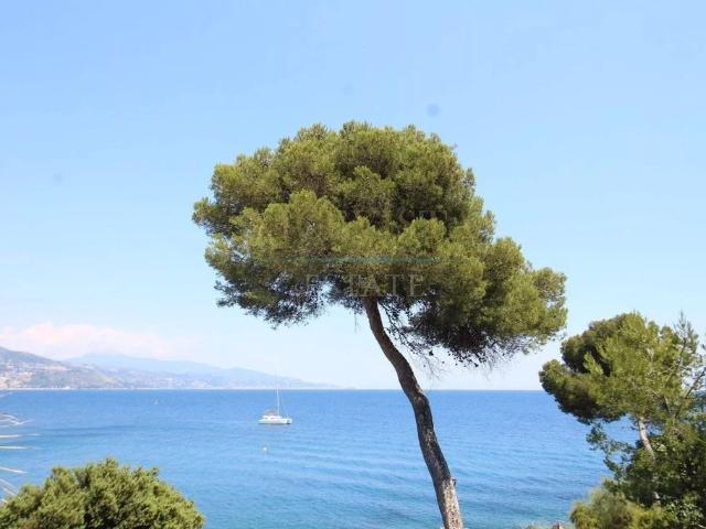 Villa de luxe de 8 pièces en vente Roquebrune Cap Martin, France