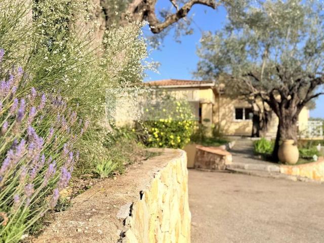 Villa de luxe de 8 pièces en vente Roquebrune Cap Martin, Provence Alpes Côte d'Azur