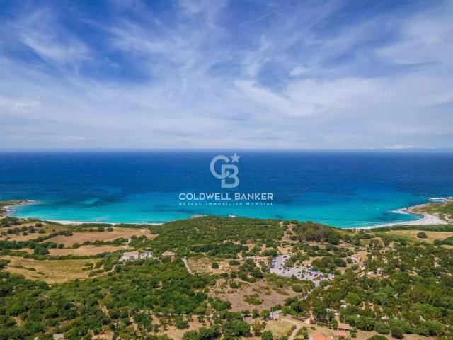 Villa de luxe en vente Corbara, France
