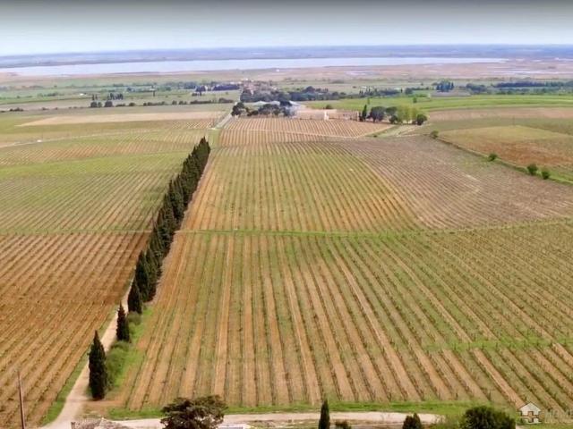 Villa de luxe en vente Saint Gilles, Occitanie