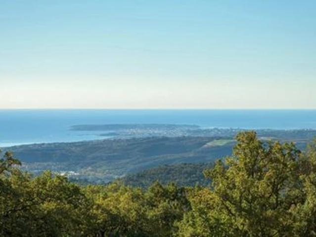 Villa de prestige à vendre sur Vence