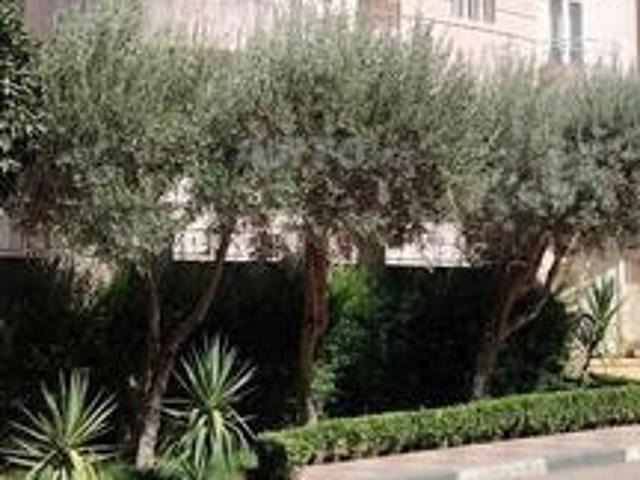 Villa derrière UNICA1