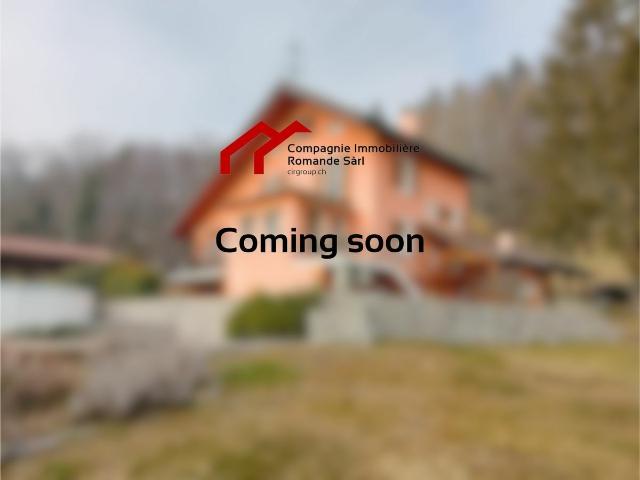 Propriété individuelle avec vue panoramique sur le lac Léman Blonay | dreamo. Ch