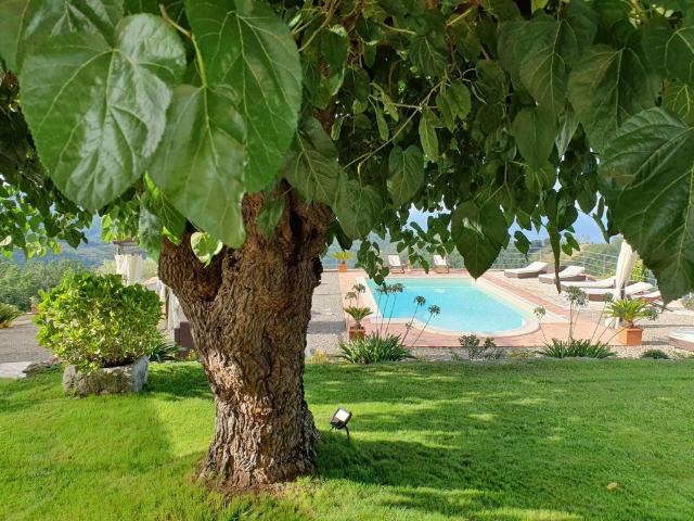 Villa di 400 mq in vendita CONTRADA S. NICOLA, Tortorella, Campania