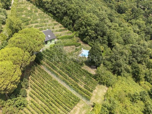 Villa di 450 mq a Scanzorosciate