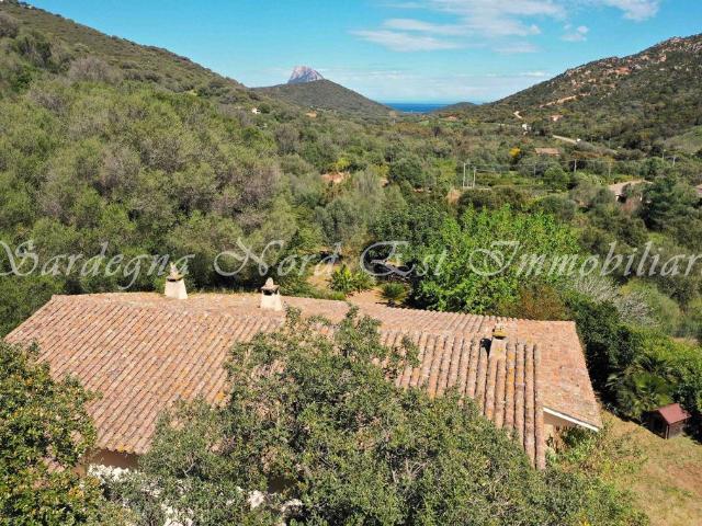 Villa di 130 mq in vendita Loiri Porto San Paolo, Italia