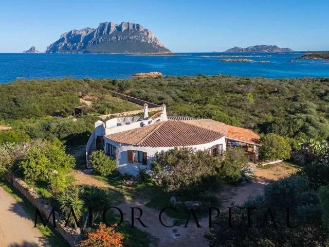 Villa di 180 mq in vendita Loc. Costa Corallina, Murta Maria, Sassari, Sardegna