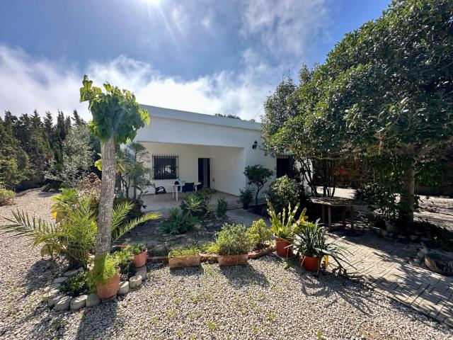 Villa en venta en Elche Alicante