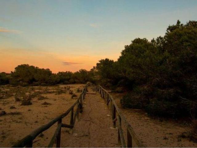 Villa en Venta en La Marina, Alicante