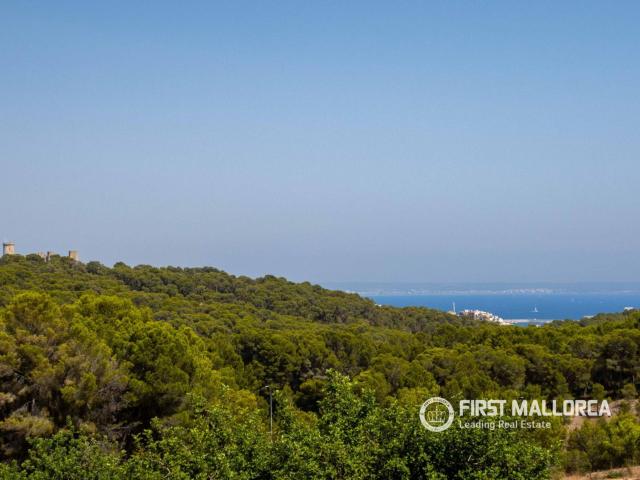 Villa en venta en Palma de Mallorca Baleares