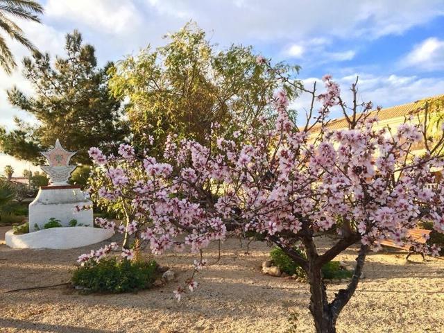 Villa en Los Urrutias N6926 66m² Los Urrutias