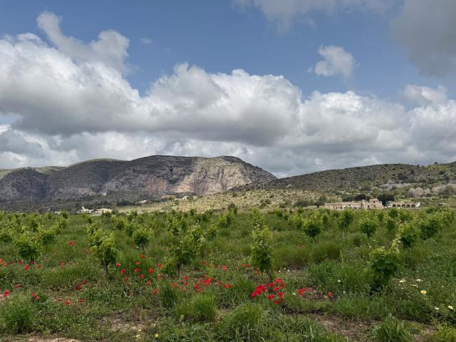 Villa encantadora en Teulada con jardín espacioso y piscina. 216m² Teulada