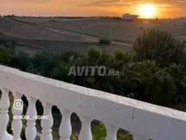 Villa et ferme à Ain Taoujtate