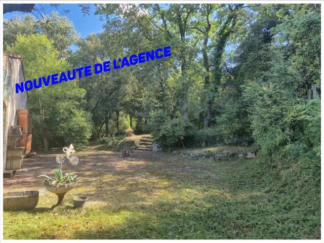 Villa familiale avec grand terrain arboré et vaste sous sol. 139m² Saint Marcel de Careiret