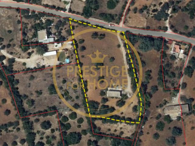 villa Faro Algarve DLS86008688