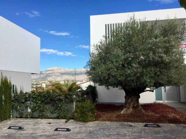 Villa for rent in Albir, Alfaz del Pi / L'Alfàs del Pi, Alicante