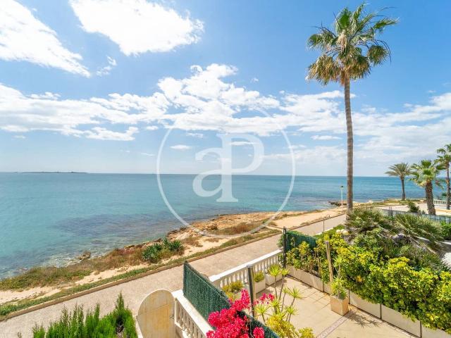 Villa for rent in Alicante / Alacant city, Alicante