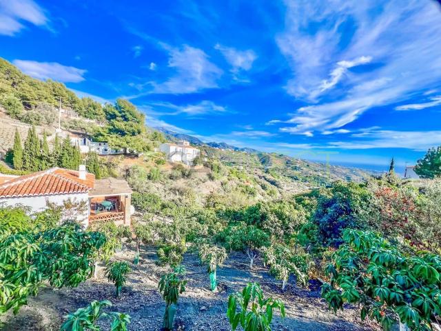 Villa for rent in Frigiliana, Málaga
