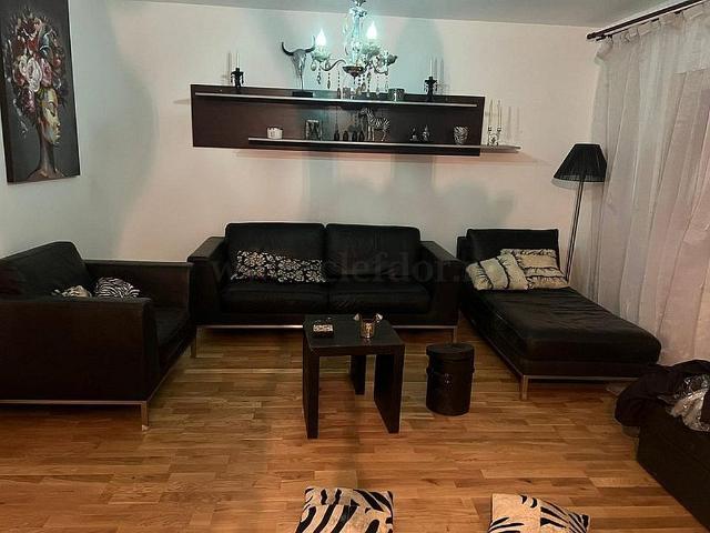 Villa for Rent near OMV Pipera