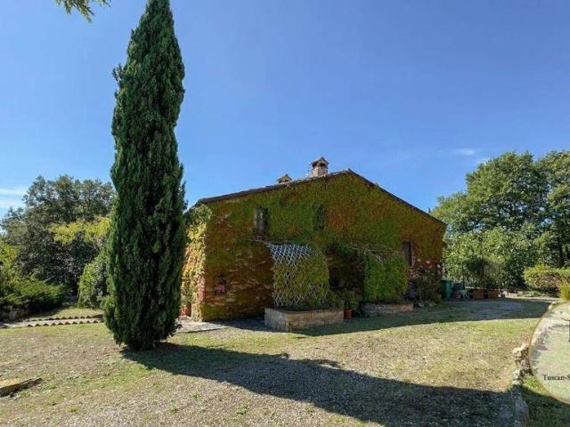 Villa in vendita Montegabbione, Umbria