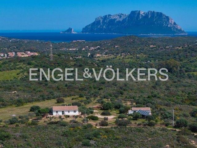 Villa in vendita Olbia, Sardegna
