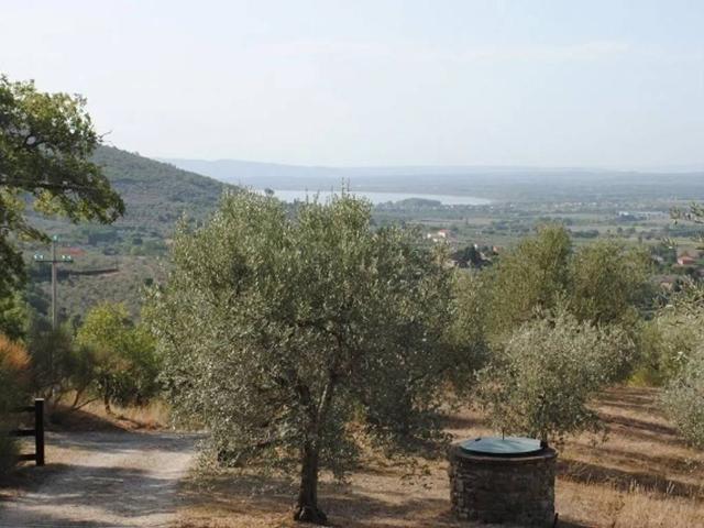 Villa in vendita a Cortona AR