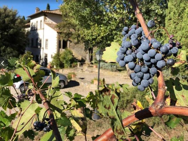 Villa in vendita a Cortona AR