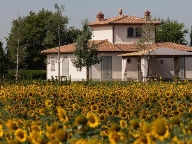 Villa in vendita a Cortona, ristrutturato Rif. AICOR 01 20. 246m² Cortona