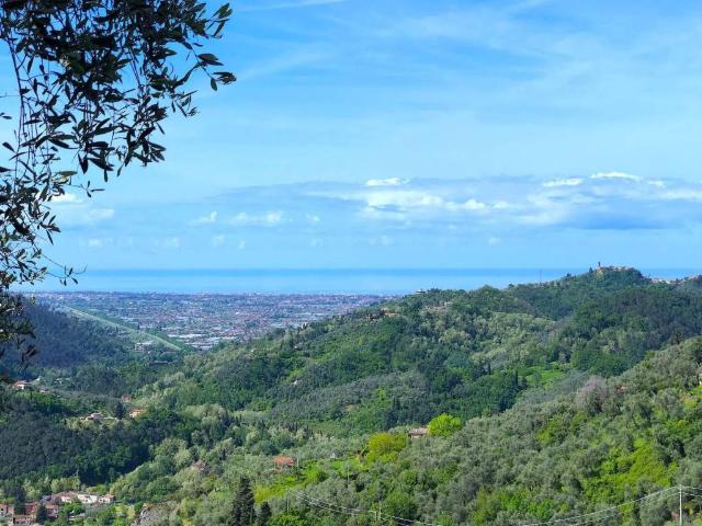 Villa in vendita a Camaiore LU