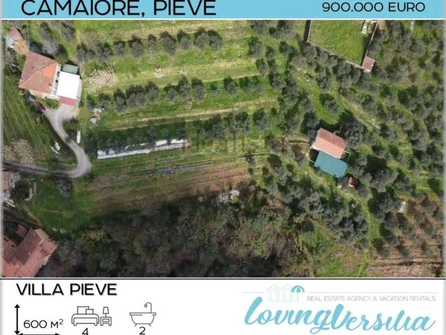 Villa in vendita a Camaiore LU