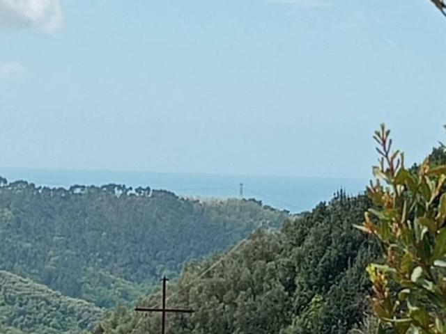 Villa in vendita a Camaiore LU