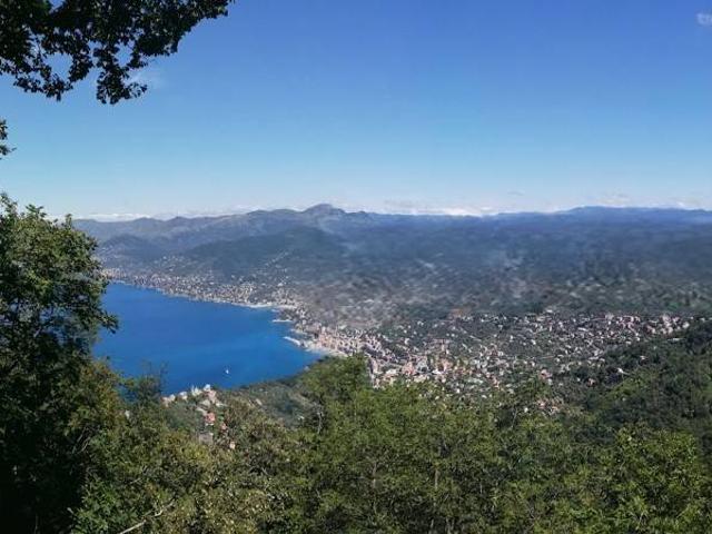 Villa in vendita a Camogli GE