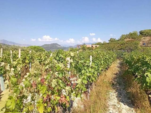 Villa in vendita a Camporosso IM