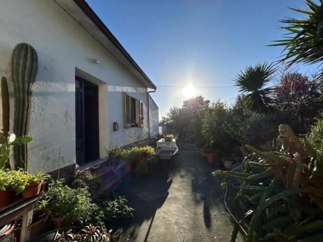 Villa in vendita a Capoliveri 110 mq Rif: 1394677