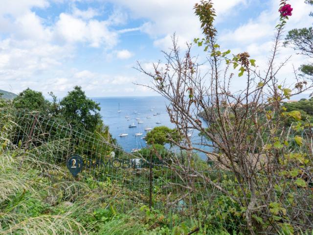 Villa in vendita a Capraia Isola