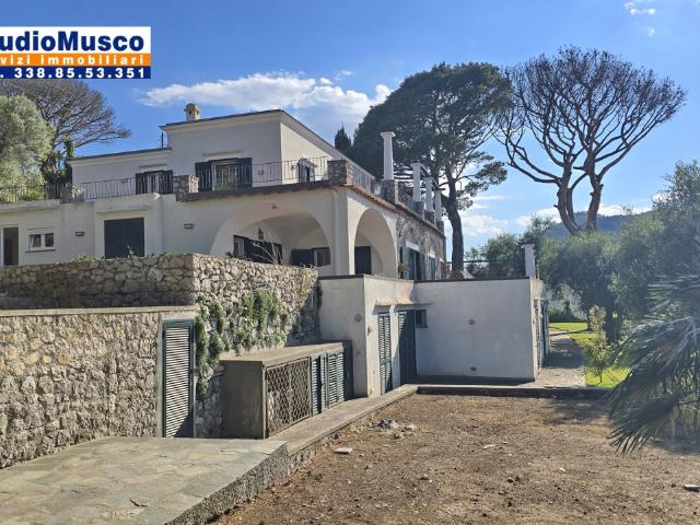 VILLA in VENDITA a CAPRI di 11 vani