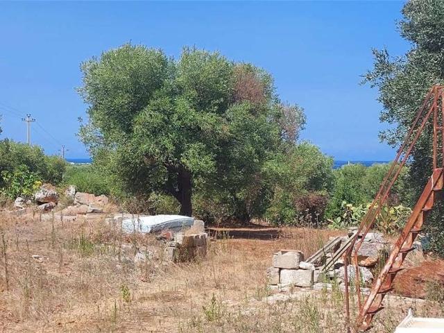 Villa in vendita a Carovigno BR